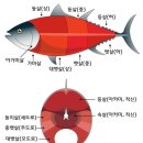 스시선수 이미지