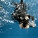 늘푸른공간 이미지