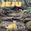 연명로 | 제주 가을여행 가볼만한곳 산양큰엉곶 마녀의 숲 기찻길 포토존