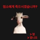 오렌즈 부산광안리점 | 2025를 마무리하며