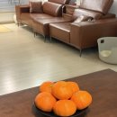 태현농장 이미지