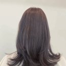 로이드밤 이미지