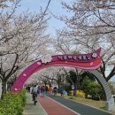 낙동제방 자전거도로 이미지