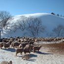 순환목장 이미지