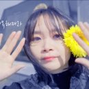 210503) 블로그 오늘일기 3일차