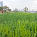 노들나루 이미지