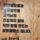 전성호쌀빵제빵소 | [부산영도] 소금빵이 너무 맛있어서 다시 또 먹으러 간 전성호쌀빵제빵소 후기