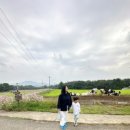 형제목장 | 용인 아이와 가볼 만한 곳 추천! 예약 성공해야 갈 수 있는 농도원목장 체험 후기