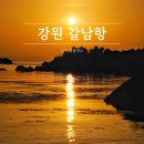 강원도 삼척 일출 명소 갈남항의 아침