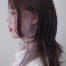 시코드헤어
