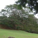 양정1동-28 이미지