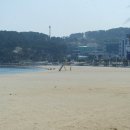 대왕암아구찜
