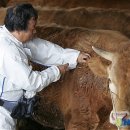 구지동물병원 이미지