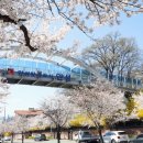 안성 조령천 이미지