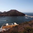 진미 이미지