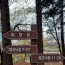 마루공원 축구장_2 | 마루공원 피크닉장｜분당 수내동 벚꽃 캠크닉