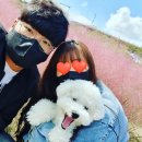 강서구 핑크 뮬리와 또또의 애견운동장 몽썸 솔직 후기