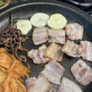 수지냉삼 이미지