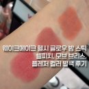 플레저 | 웨이크메이크 헬시 글로우 밤 스틱 쉘피치, 모브 브리스, 플레저 컬러 발색 후기