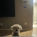 유준카센터
