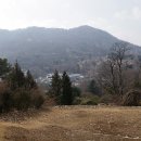 북부지하차도위1 네이버블로그