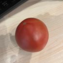 토마토어린이집 | 서초보감 올토샷 후기, 아침 공복 올리브유 토마토 샷 라이코펜 흡수 루틴