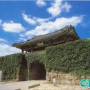 해미-비상-2 이미지