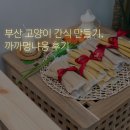 까까멍냐옹 수제간식 | 부산 고양이 간식 만들기, 원데이클래스 다녀왔어요! #까까멍냐옹