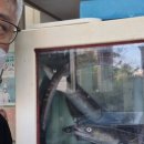 풍전쭈꾸미 이미지