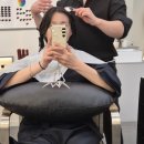 대성동물약품 | 동탄 레이어드컷, 클리닉 추천 완전 만족! ‘에이바헤어동탄영천점’ 명준팀장님
