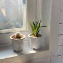 스테이노을 이미지