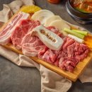 치리돈 이미지