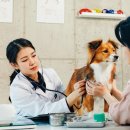 호 동물병원 이미지