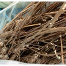 최성훈농장 이미지