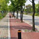 웅동초등학교 이미지