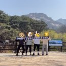 홍춘당구클럽 | [걸릭스] 서울 최고존엄 북한산 가!보!자!구~ 줄!붙!잡!구~