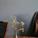 다나와부동산공인중개사사무소 이미지