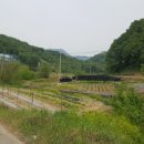 금사농장 이미지