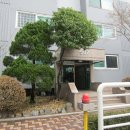 분당-301 이미지