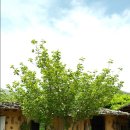 산중펜션 이미지