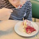 편백로 | [진해 케이크 맛집] 쉬폰,사르르 : 동물성 생크림 케이크 픽업 후기