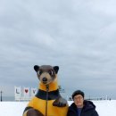송도박사공인중개사사무소 이미지