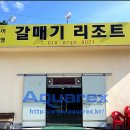 갈매기리조트 Daum카페