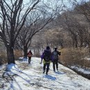 지선 - 서산시 부춘3로 57 | 지선