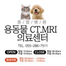 창원메디컬동물병원 이미지