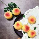 이종화농장 이미지