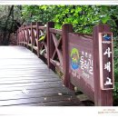 안골길 14 이미지