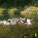 폰사랑삼척점 이미지