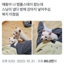 고안5 네이버블로그