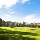 용평사우나1 이미지